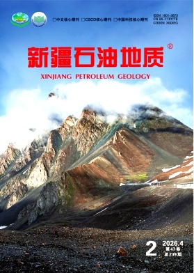 新疆石油地质封面